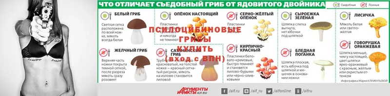 Галлюциногенные грибы мицелий  продажа наркотиков  MEGA онион  Бобров 